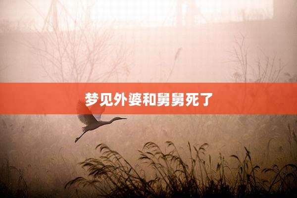 梦见外婆和舅舅死了