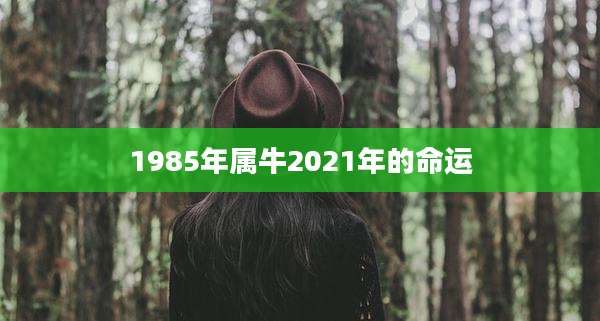 1985年属牛2021年的命运