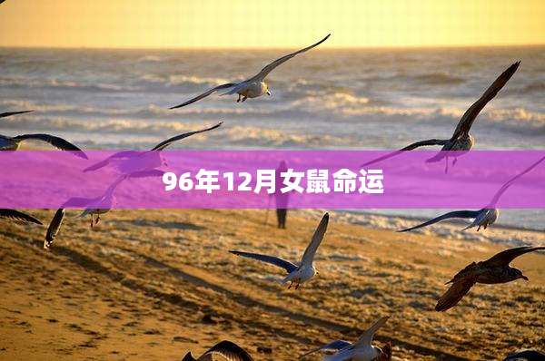 96年12月女鼠命运