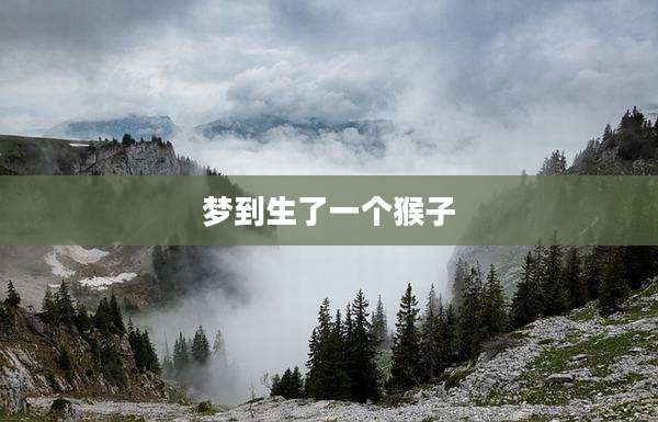 梦到生了一个猴子
