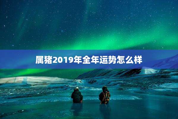 属猪2019年全年运势怎么样