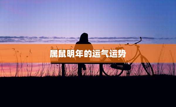 属鼠明年的运气运势