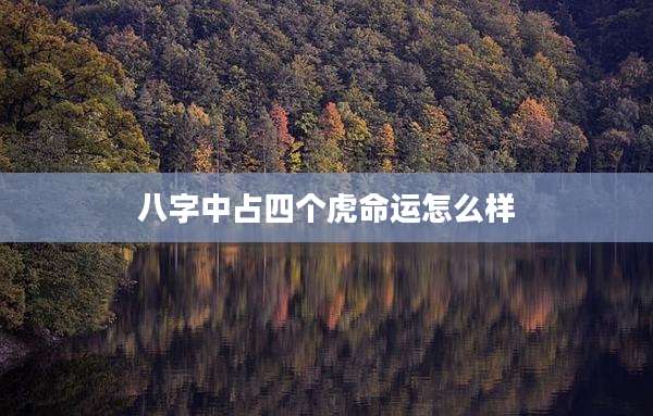 八字中占四个虎命运怎么样