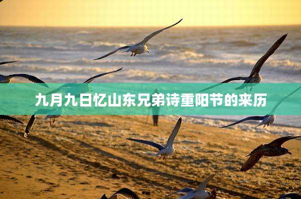 九月九日忆山东兄弟诗重阳节的来历