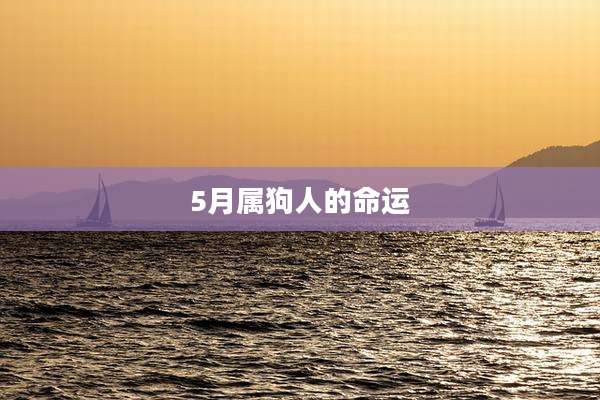 5月属狗人的命运
