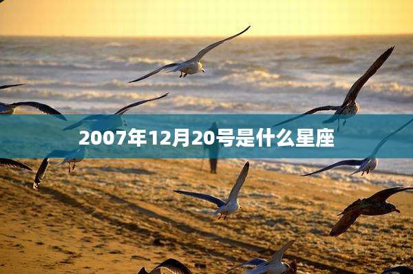 2007年12月20号是什么星座