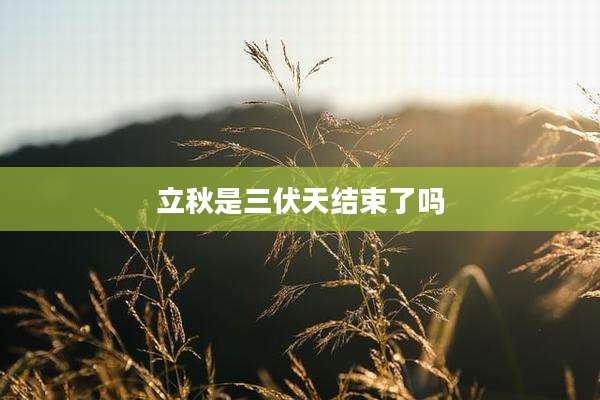 立秋是三伏天结束了吗