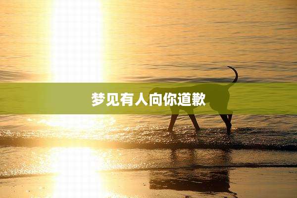 梦见有人向你道歉