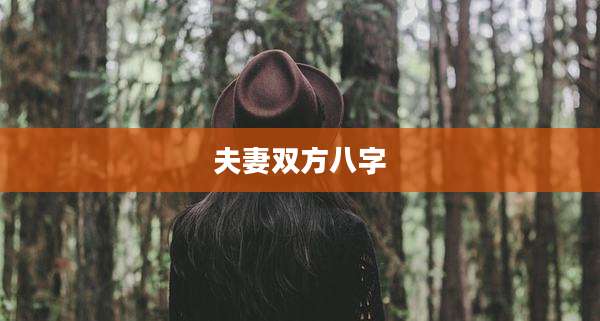 夫妻双方八字