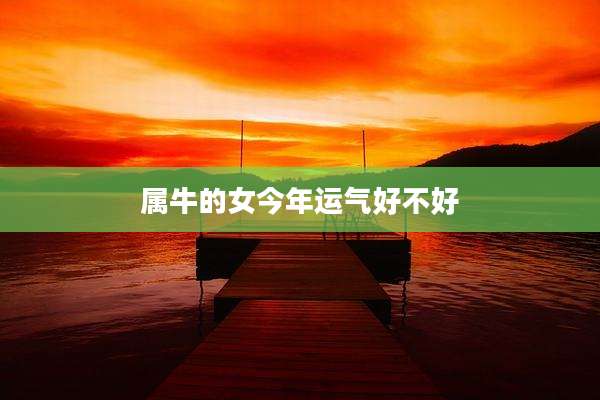 属牛的女今年运气好不好