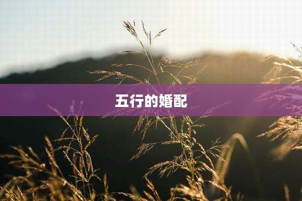 五行的婚配