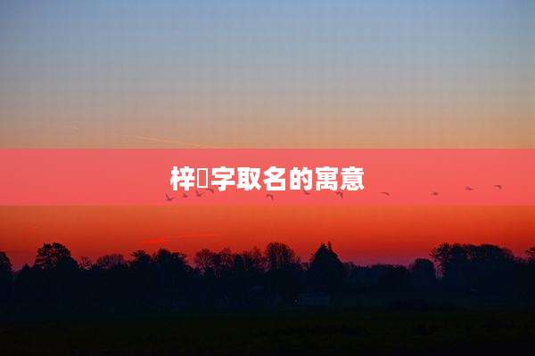 梓湉字取名的寓意