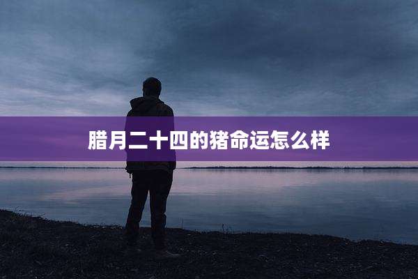腊月二十四的猪命运怎么样