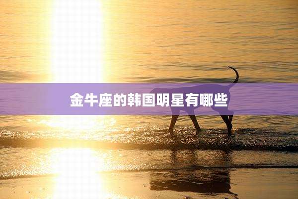 金牛座的韩国明星有哪些