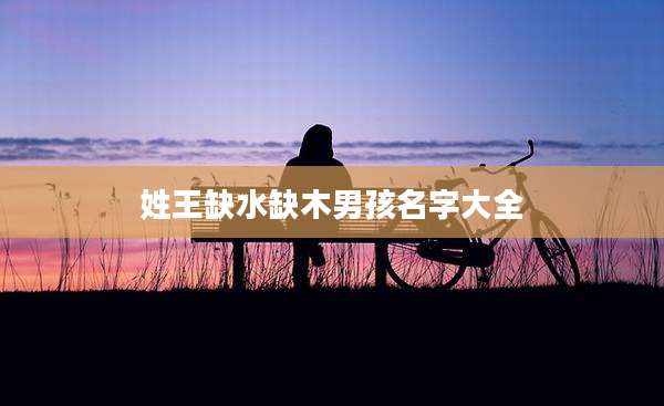 姓王缺水缺木男孩名字大全