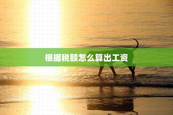 根据税额怎么算出工资