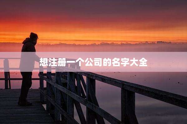 想注册一个公司的名字大全