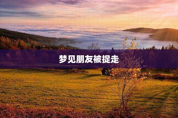 梦见朋友被捉走