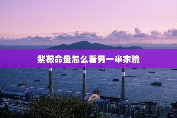 紫薇命盘怎么看另一半家境