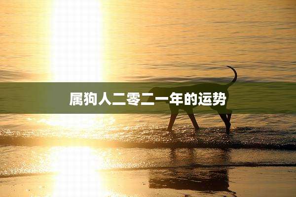 属狗人二零二一年的运势