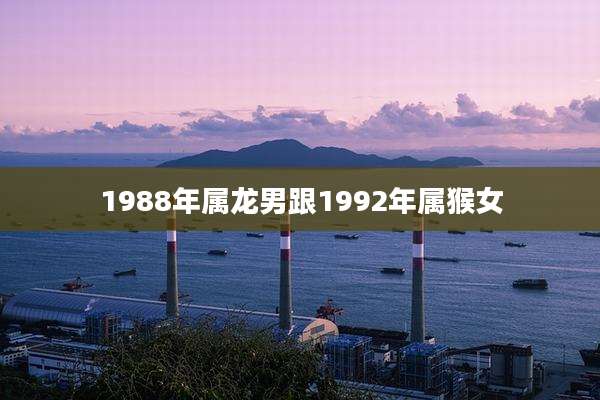 1988年属龙男跟1992年属猴女