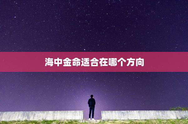 海中金命适合在哪个方向