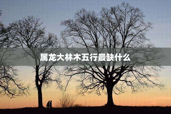 属龙大林木五行最缺什么