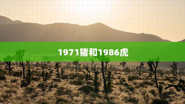 1971猪和1986虎