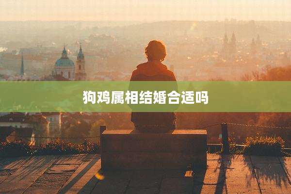 狗鸡属相结婚合适吗