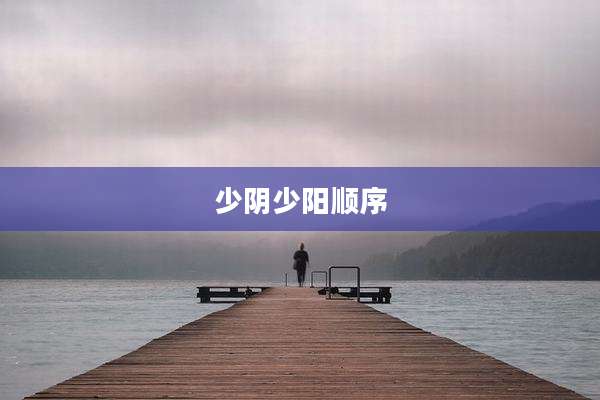 少阴少阳顺序