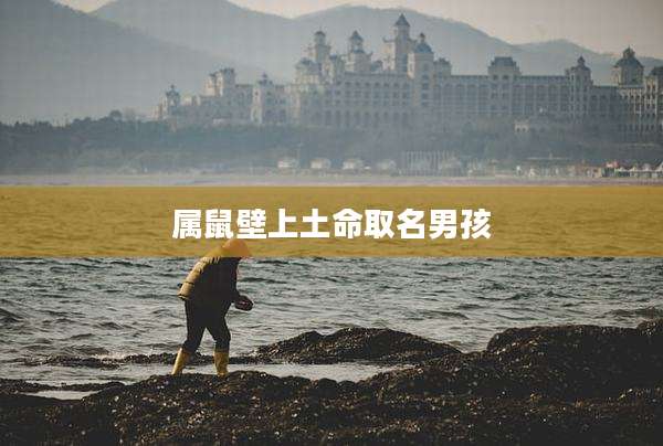 属鼠壁上土命取名男孩