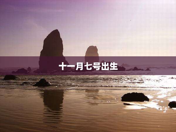十一月七号出生