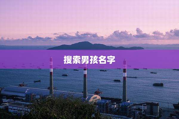 搜索男孩名字
