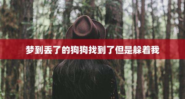 梦到丢了的狗狗找到了但是躲着我