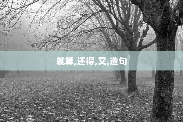 就算,还得,又,造句