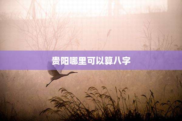贵阳哪里可以算八字