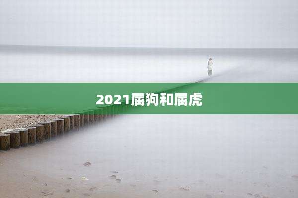2021属狗和属虎