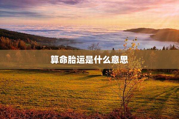 算命胎运是什么意思