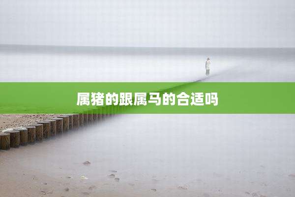属猪的跟属马的合适吗