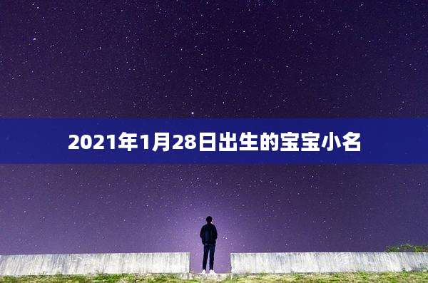2021年1月28日出生的宝宝小名