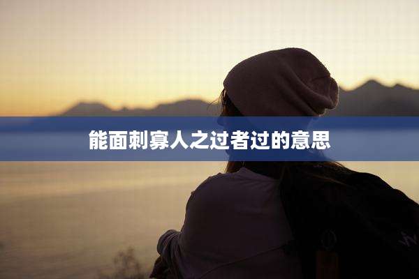 能面刺寡人之过者过的意思