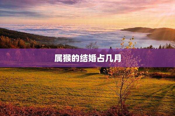 属猴的结婚占几月