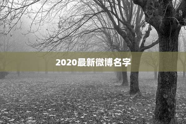 2020最新微博名字