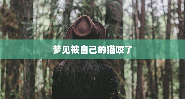 梦见被自己的猫咬了