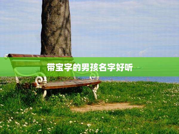 带宝字的男孩名字好听