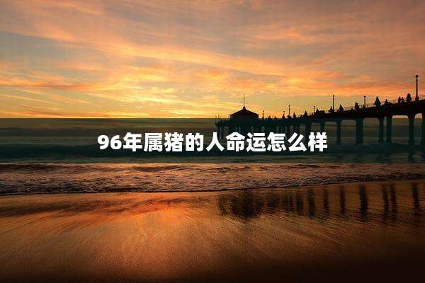 96年属猪的人命运怎么样