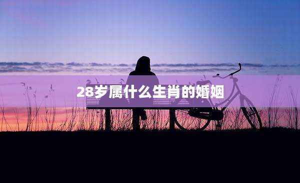 28岁属什么生肖的婚姻