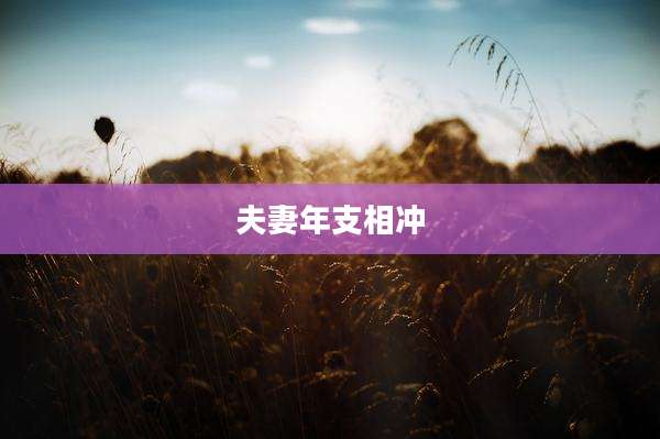 夫妻年支相冲