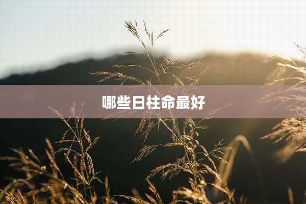 哪些日柱命最好