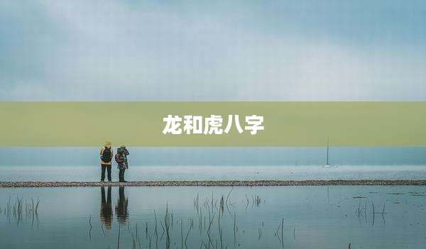 龙和虎八字